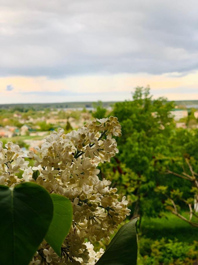 Гостевой Дом "Дача Салтов" Staryy Saltiv ภายนอก รูปภาพ